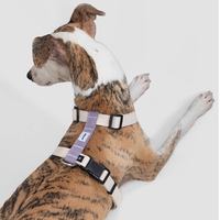 山谷工型防暴衝胸背牽繩組(兩色)